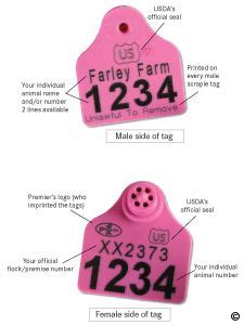 rfid tags usda|goat ear tags scrapie usda.